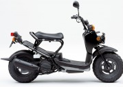 Honda Zoomer Honda Zoomer